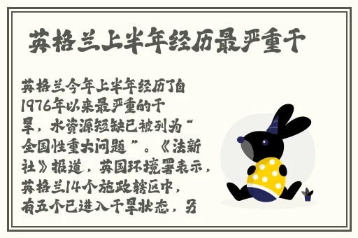 7M精品福利视频导航